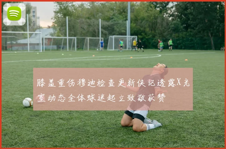 膝盖重伤穆迪检查更新侠记透露X光室动态全体球迷起立致敬获赞