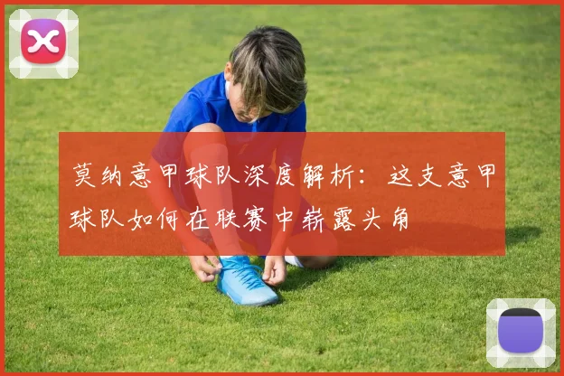 莫纳意甲球队深度解析：这支意甲球队如何在联赛中崭露头角