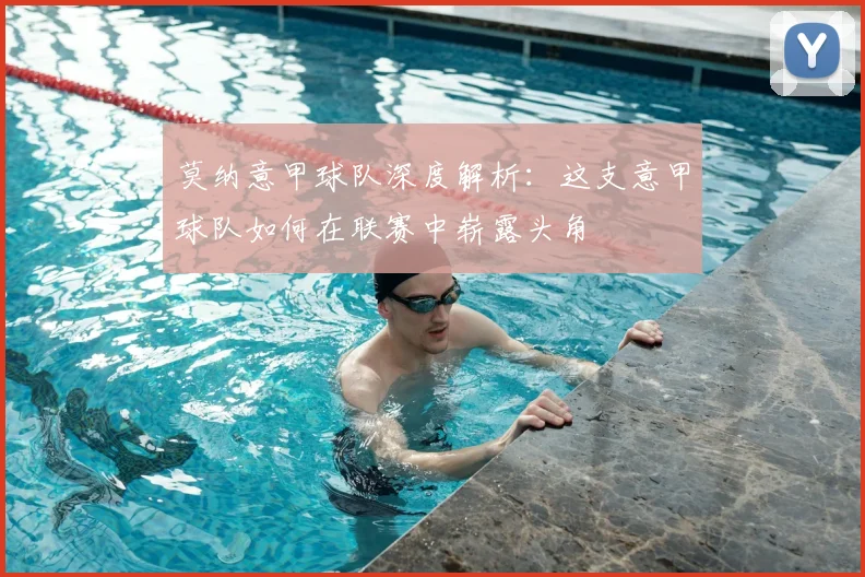 莫纳意甲球队深度解析：这支意甲球队如何在联赛中崭露头角